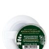 Bath & Body Works Car Fragrance | Eucalyptus Spearmint