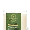 Bath & Body Works 3-Wick Candles | Eucalyptus Spearmint